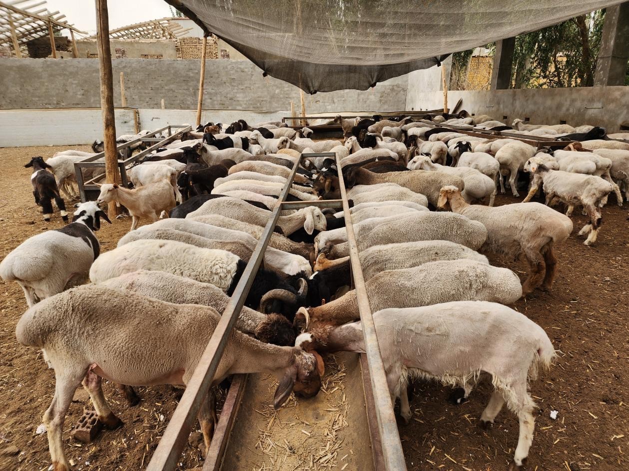 微信图片_20260309095936.jpg 微信图片_20260309095936.jpg