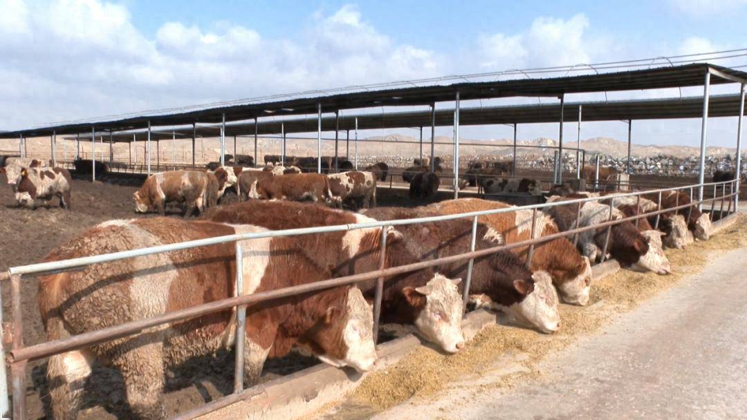 微信图片_20260309100004.jpg 微信图片_20260309100004.jpg