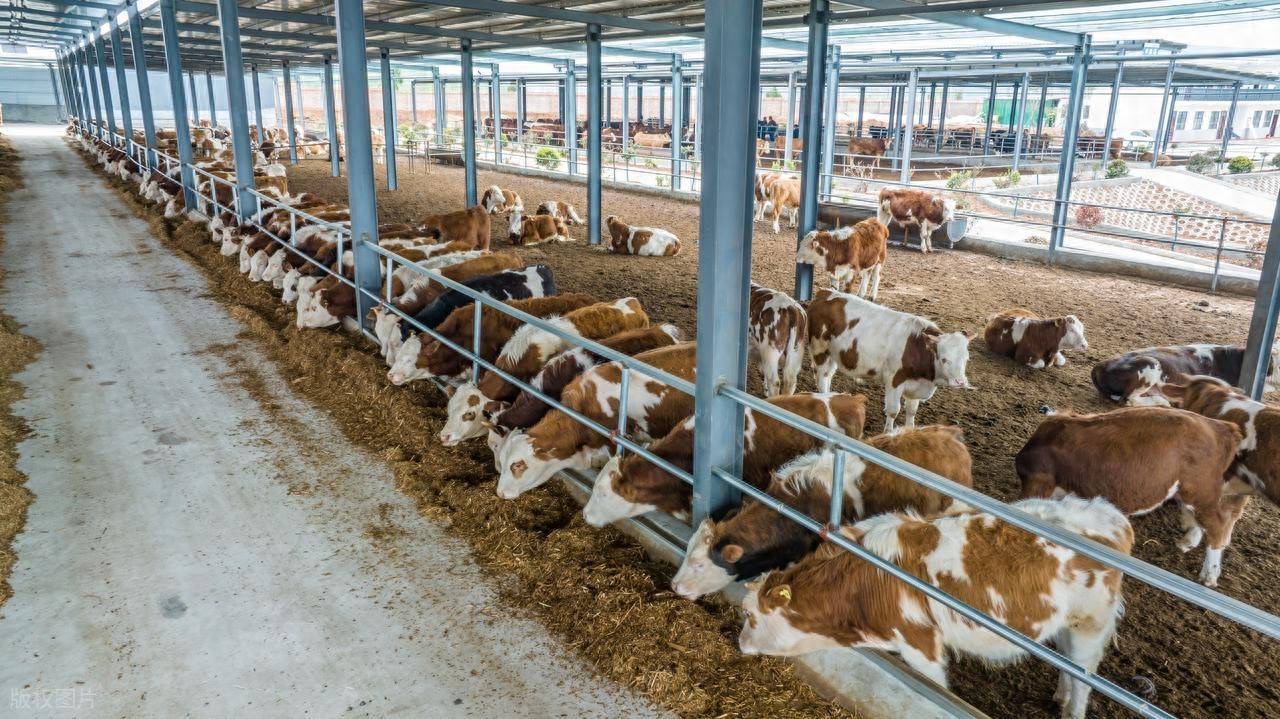 微信图片_20260309095939.jpg 微信图片_20260309095939.jpg