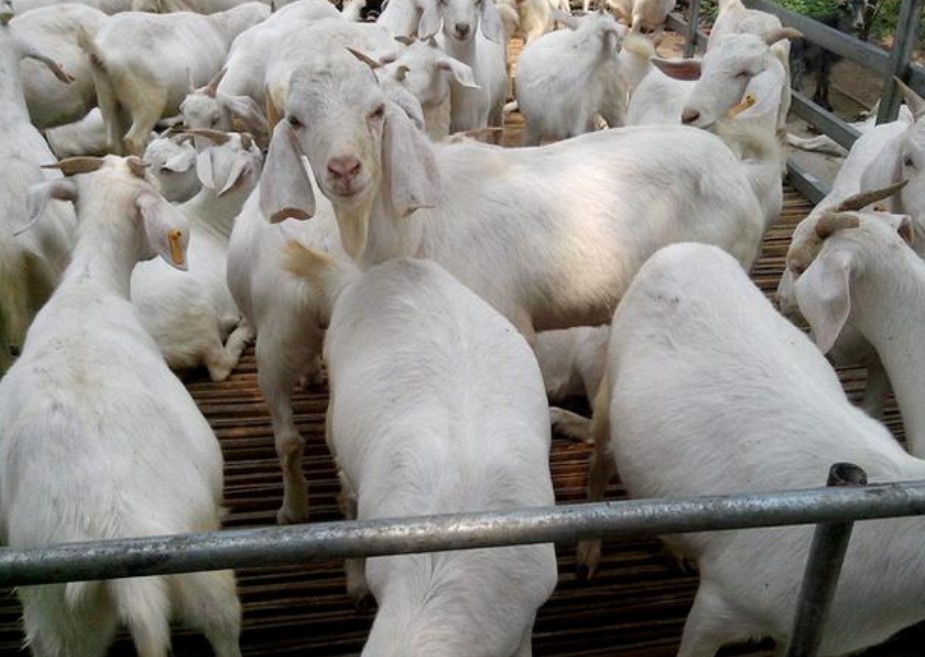 微信截图_20260309095956.jpg 微信截图_20260309095956.jpg