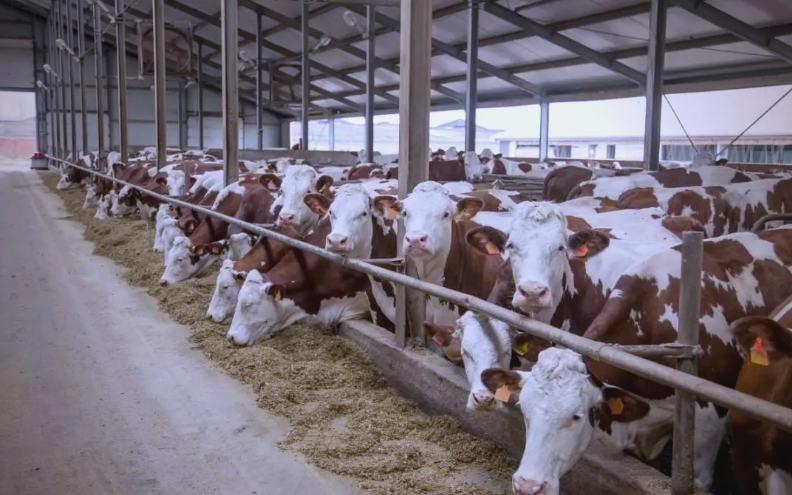 微信截图_20260309100024.jpg 微信截图_20260309100024.jpg