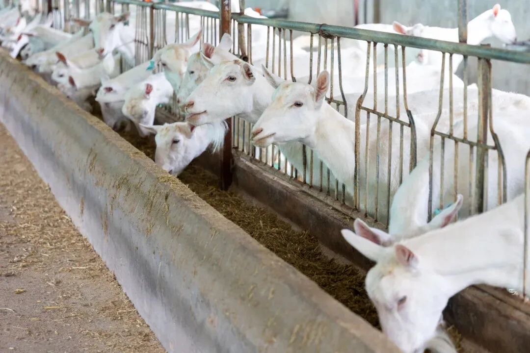 微信图片_20260309095933.jpg 微信图片_20260309095933.jpg