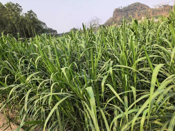 6B0549B9DD03E7B2C9235E4FE18424A2.jpg 6B0549B9DD03E7B2C9235E4FE18424A2.jpg