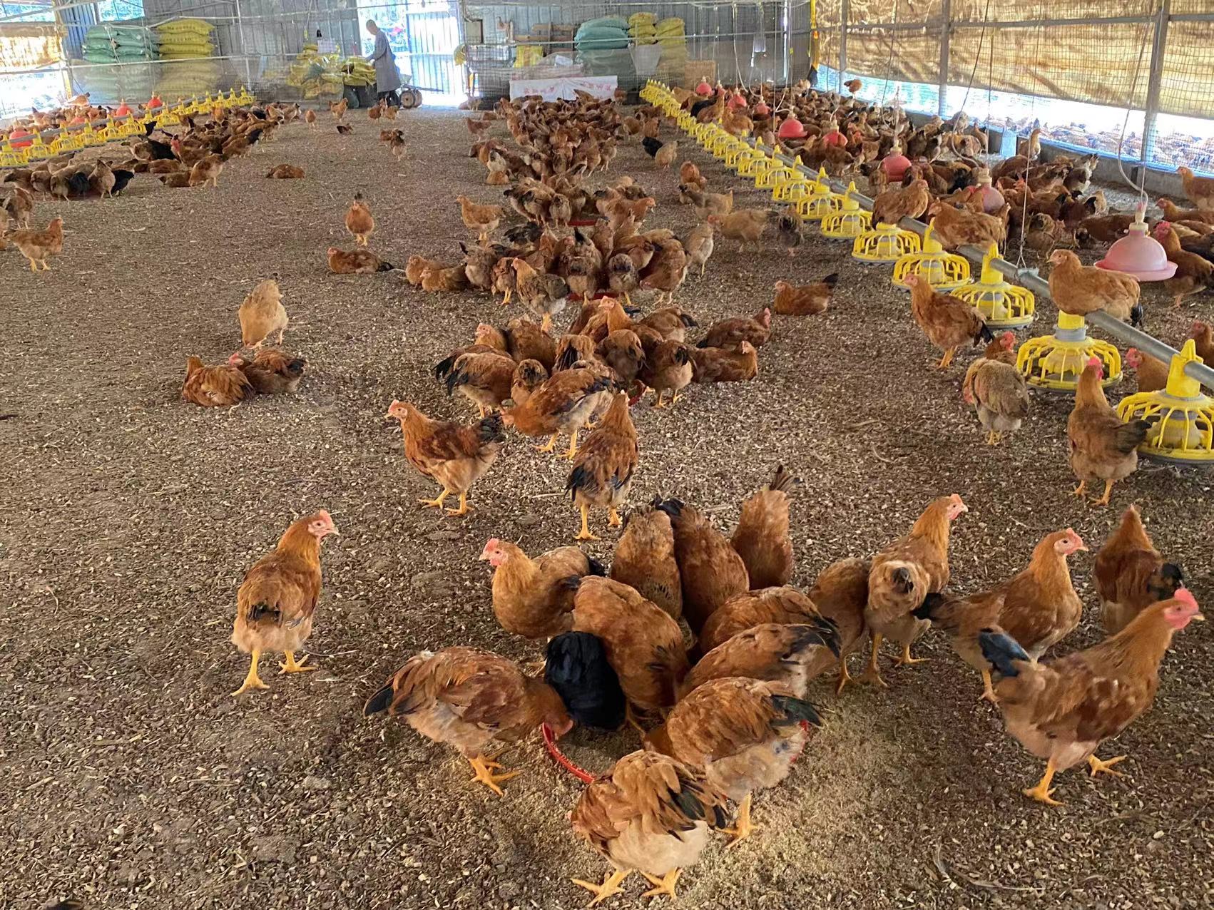 3868be98101b403594cc0a34935219de~tplv-obj.jpg 3868be98101b403594cc0a34935219de~tplv-obj.jpg