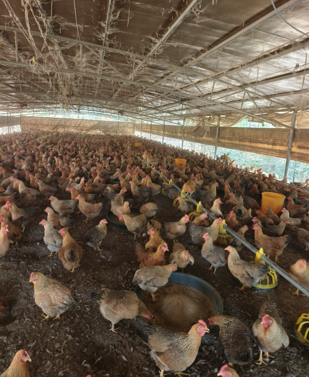 QQ图片20250423134733.png QQ图片20250423134733.png