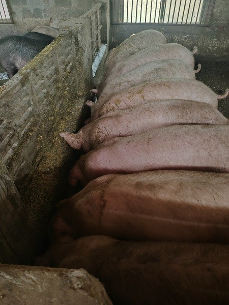 40700306e5faefc0c416c443cebf5b4f_17727780888101530.jpg 40700306e5faefc0c416c443cebf5b4f_17727780888101530.jpg