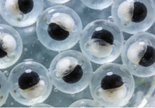 截图20260314092545.png 截图20260314092545.png