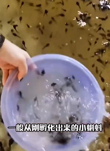 ScreenShot_2026-03-14_092658_977.png ScreenShot_2026-03-14_092658_977.png