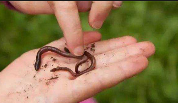 截图20260314093715.png 截图20260314093715.png