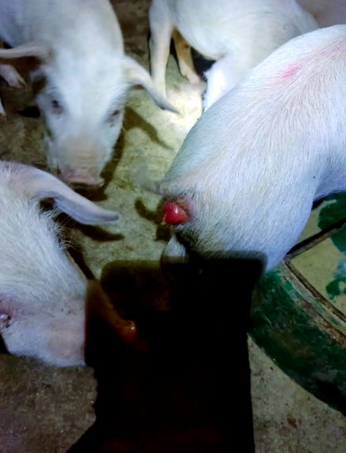 微信截图_20260316092420.jpg 微信截图_20260316092420.jpg