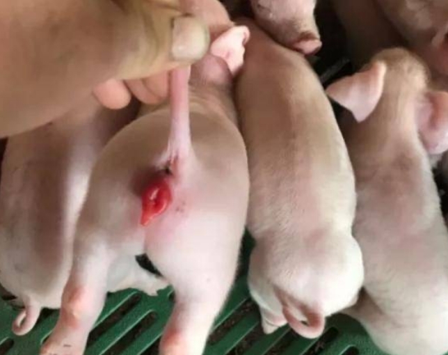 微信截图_20260316092437.jpg 微信截图_20260316092437.jpg