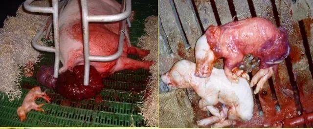 微信图片_20260316092427.jpg 微信图片_20260316092427.jpg