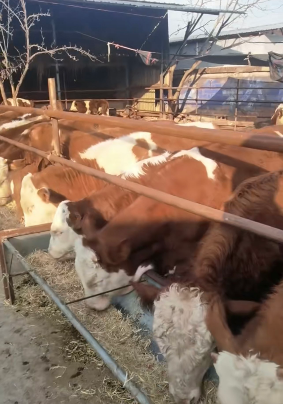 0425C212FAB9DF64646EB4051692F4FC.png 0425C212FAB9DF64646EB4051692F4FC.png