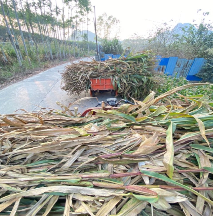 微信截图_20260316103427.jpg 微信截图_20260316103427.jpg