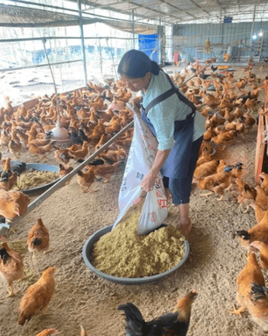 微信截图_20260316103824.jpg 微信截图_20260316103824.jpg