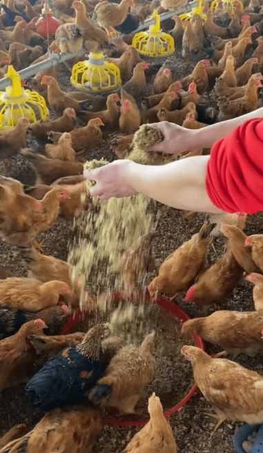 微信截图_20260316103810.jpg 微信截图_20260316103810.jpg