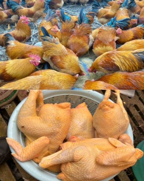 微信图片_20260316103752.jpg 微信图片_20260316103752.jpg