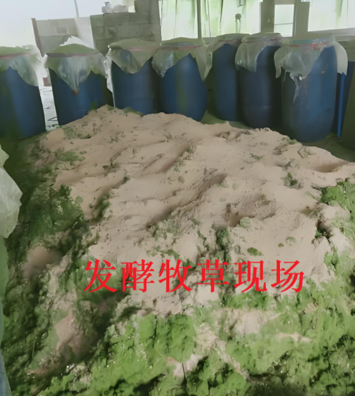 7e0e308f526312c44e38d457be973826_17301308067385359.png 7e0e308f526312c44e38d457be973826_17301308067385359.png