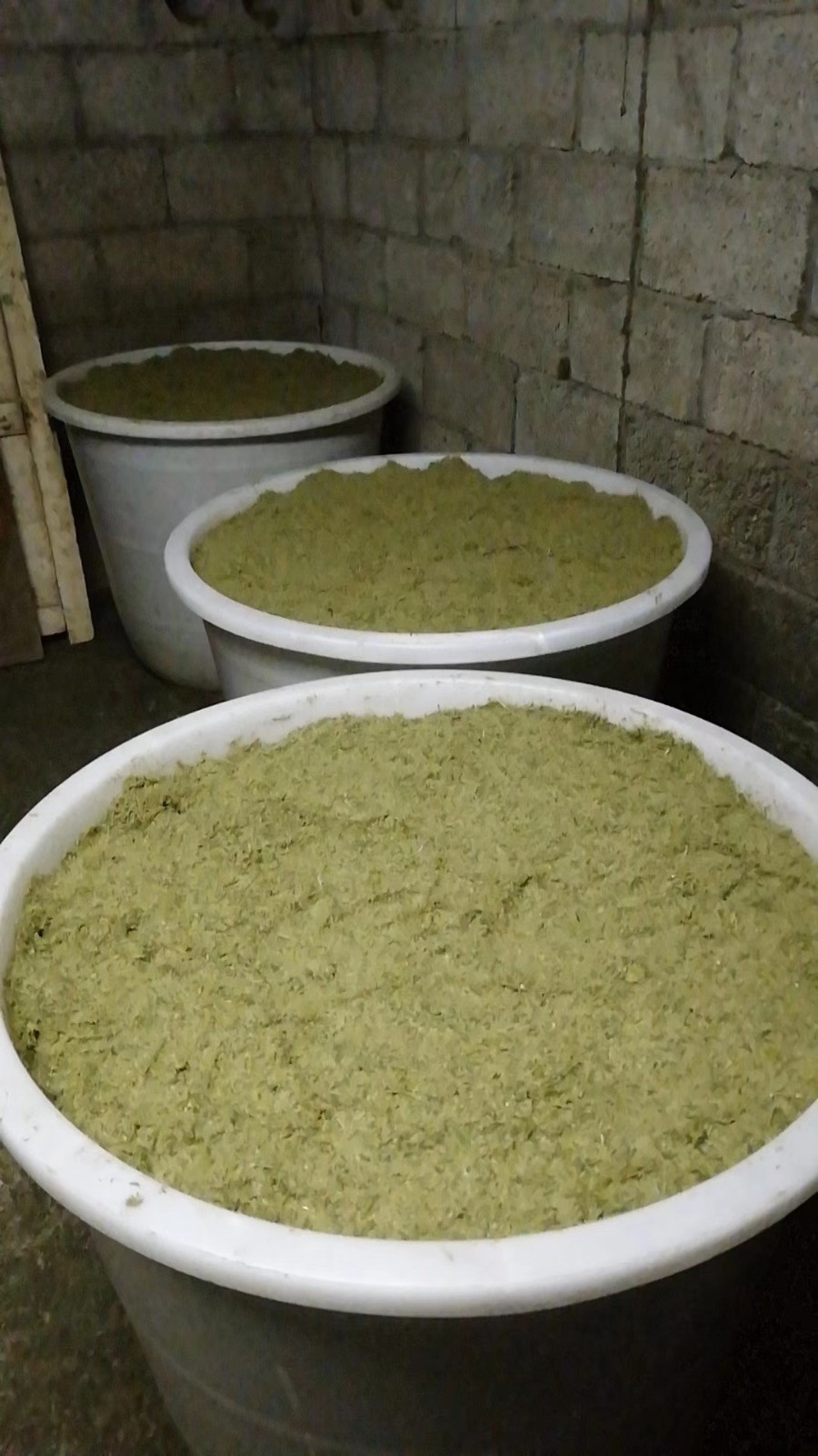 7b920a9502d17b091ac118957dffbd15_1720582348130674.jpg 7b920a9502d17b091ac118957dffbd15_1720582348130674.jpg