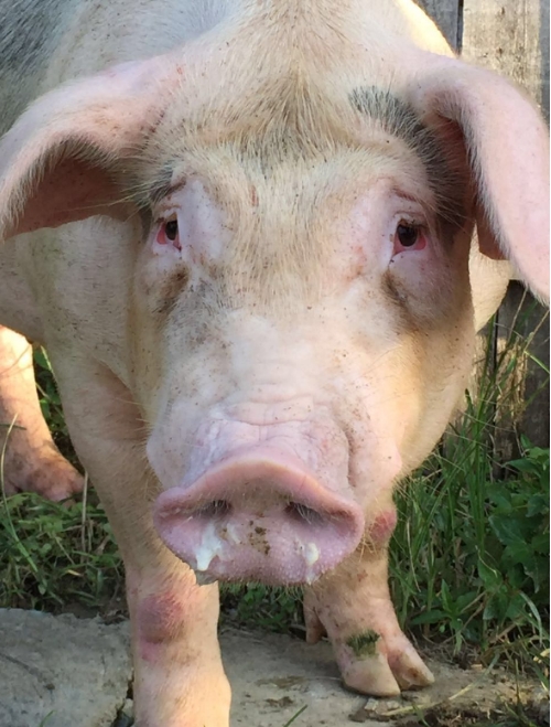 微信截图_20260317092548.jpg 微信截图_20260317092548.jpg