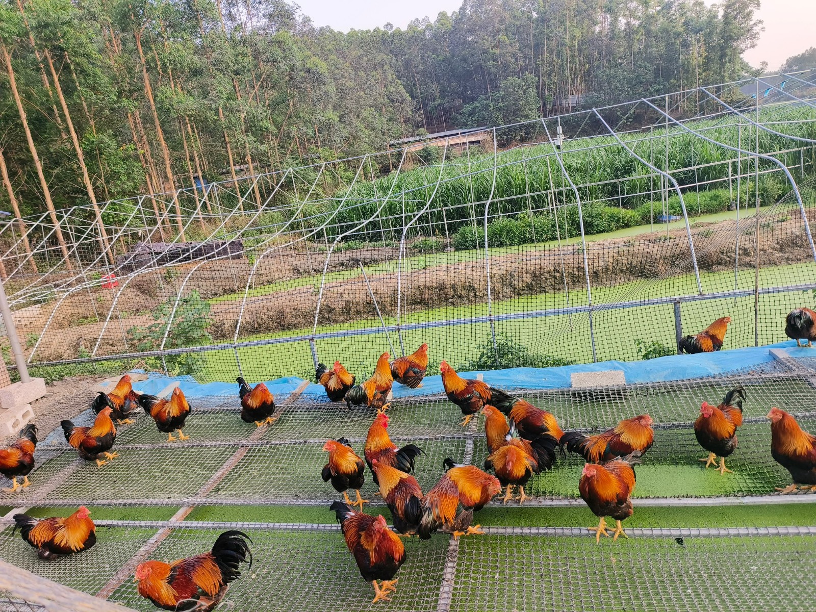 QQ图片20250509123316.jpg QQ图片20250509123316.jpg