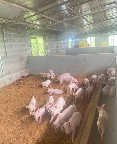 1721112130381691.png 1721112130381691.png