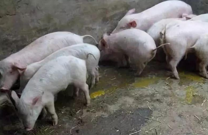 QQ图片20260318093837.png QQ图片20260318093837.png