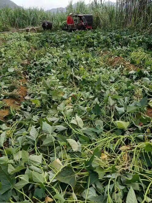 374e605563b040cd5253eec4f45e0dd4_720.jpg 374e605563b040cd5253eec4f45e0dd4_720.jpg