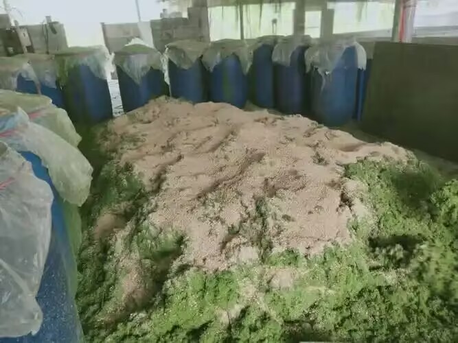 e8618e3ce7c6e3a7a9a62ddcb2029fa1.jpg e8618e3ce7c6e3a7a9a62ddcb2029fa1.jpg