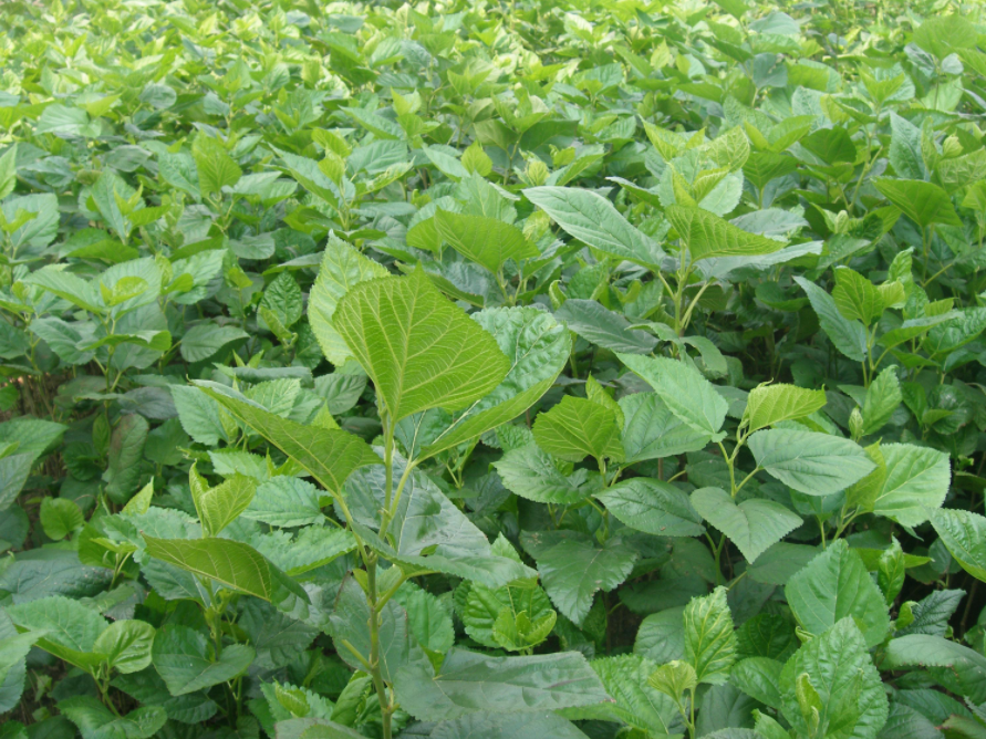 QQ图片20250324165309.png QQ图片20250324165309.png