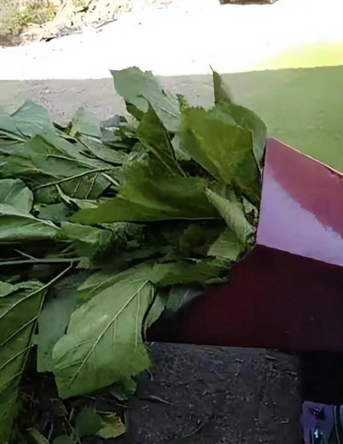 QQ图片20250325095822.png QQ图片20250325095822.png