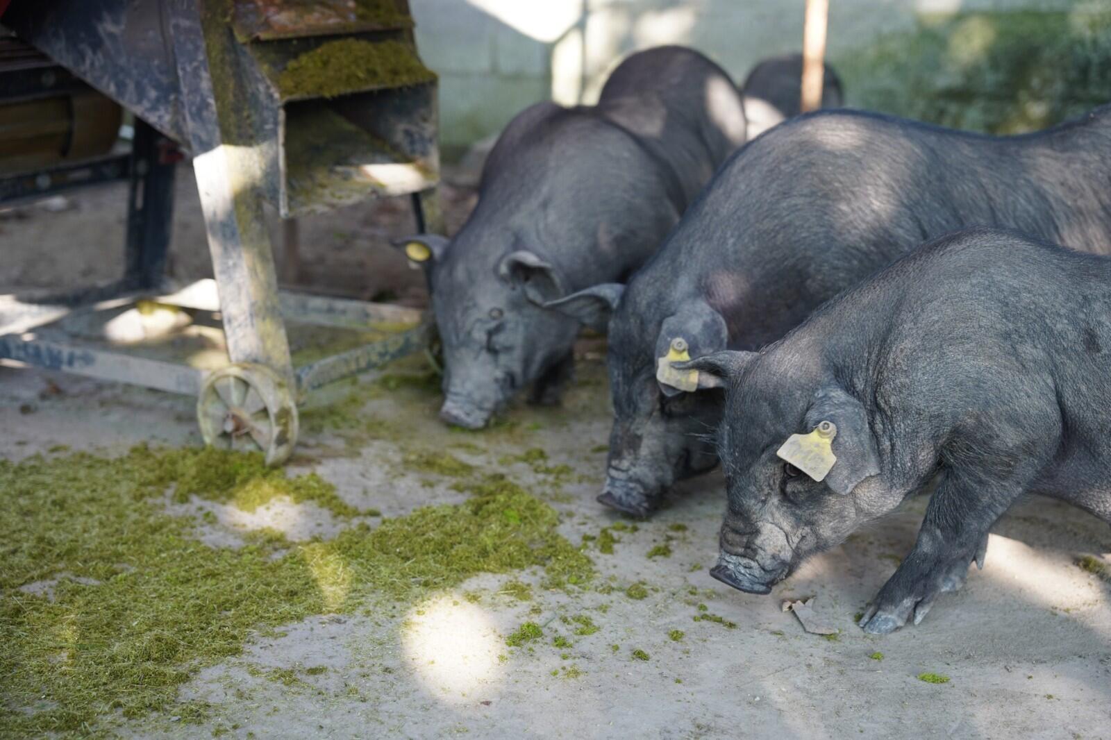 QQ图片20250912120915.jpg QQ图片20250912120915.jpg