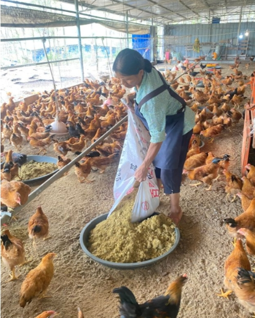 QQ图片20250402125044.png QQ图片20250402125044.png