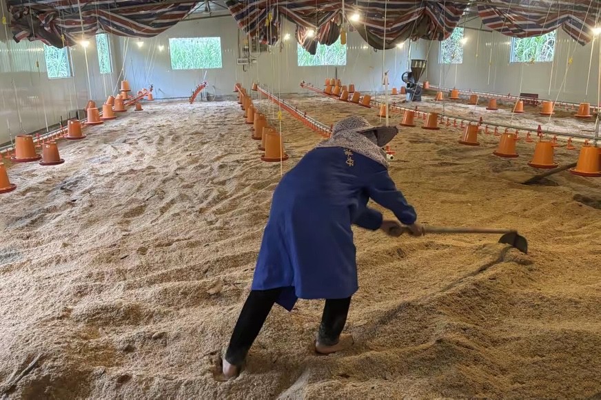 e4cac4872828bd28bf8af989eaffc480_17738021441354001.jpg e4cac4872828bd28bf8af989eaffc480_17738021441354001.jpg