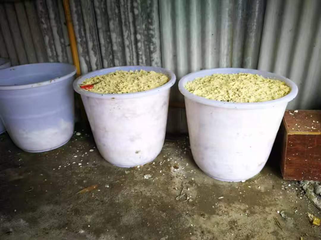 微信图片_20260319105031_44_203.jpg 微信图片_20260319105031_44_203.jpg