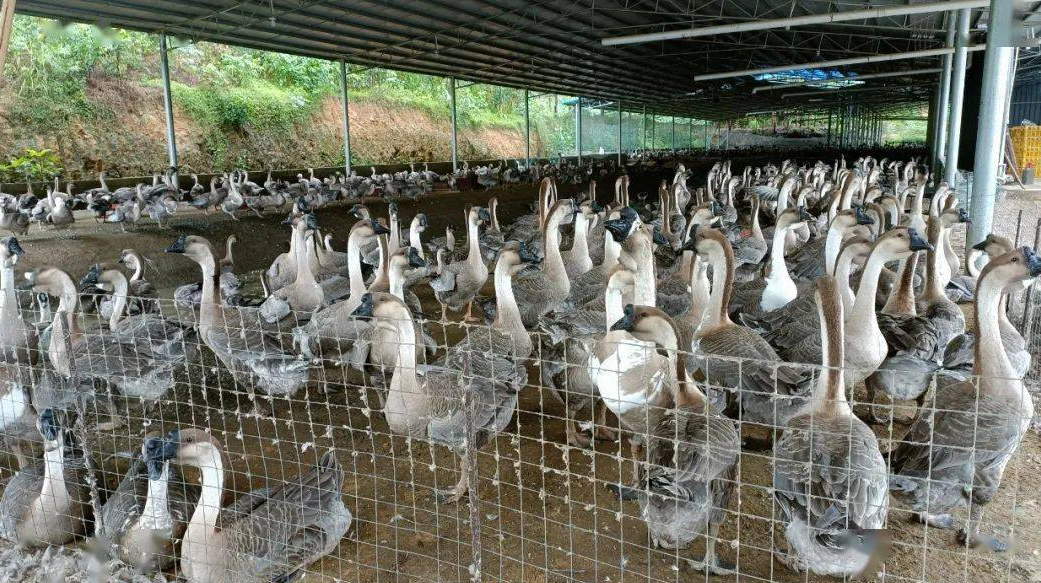 QQ图片20230821103009.png QQ图片20230821103009.png