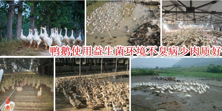 QQ图片20260319111412.png QQ图片20260319111412.png