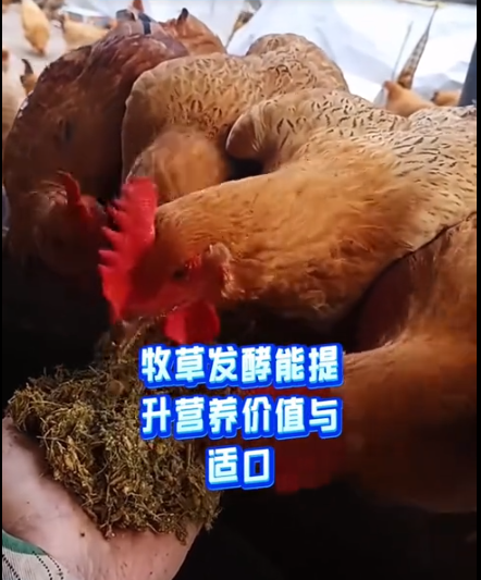 截图20260320094024.png 截图20260320094024.png