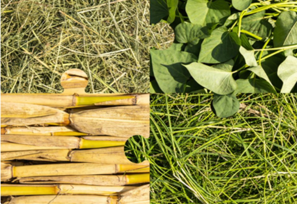 截图20260320094502.png 截图20260320094502.png