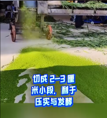 截图20260320095005.png 截图20260320095005.png