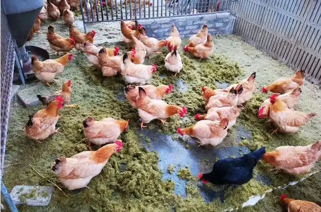 截图20260320100009.png 截图20260320100009.png