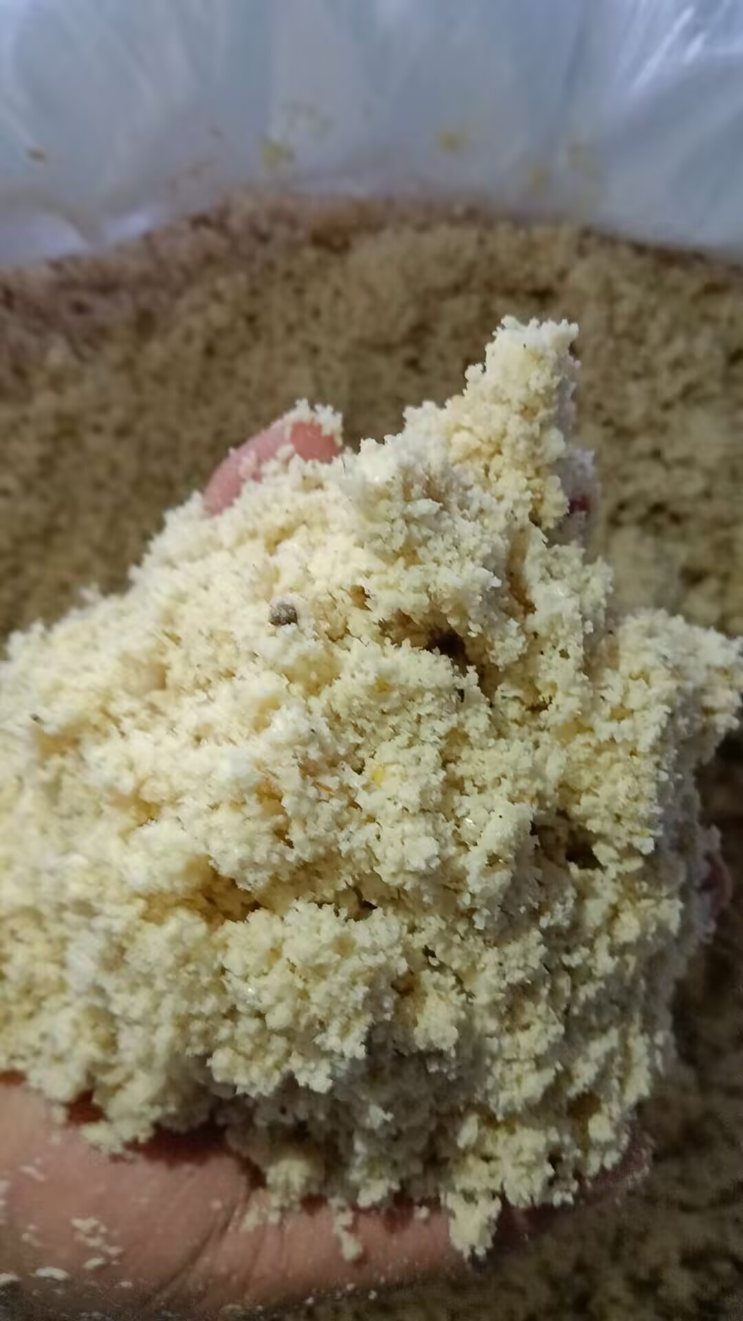 b613c755e402b074531e66cec72db263_720.jpeg b613c755e402b074531e66cec72db263_720.jpeg