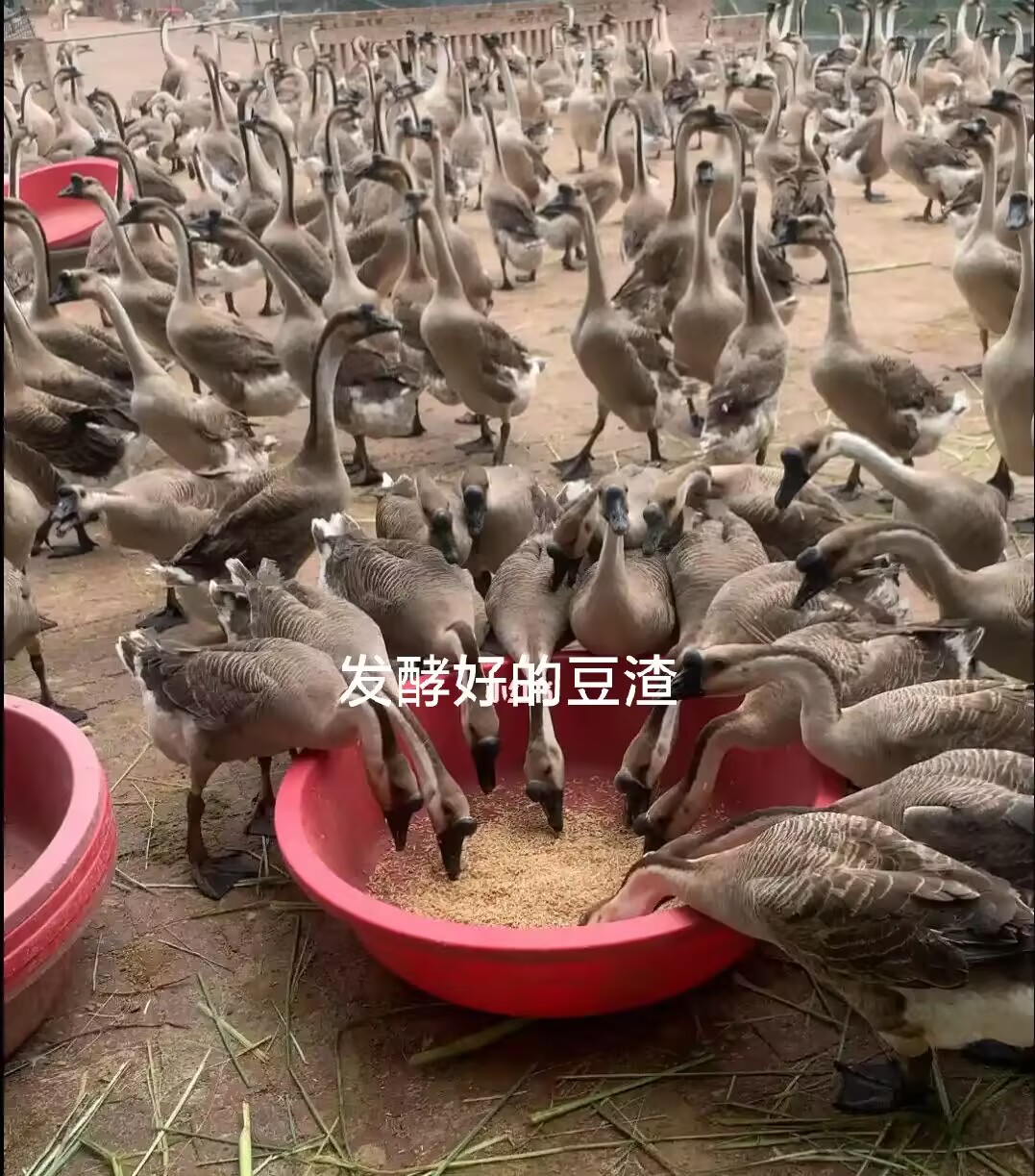 a5e2519d661b6de78275d1435566740b_720.jpg a5e2519d661b6de78275d1435566740b_720.jpg