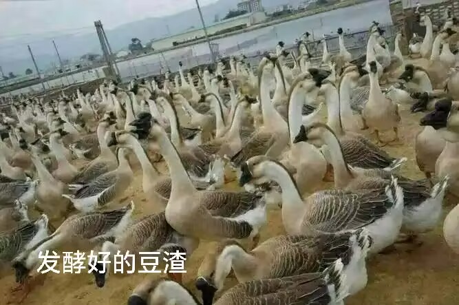 31aa1cec70c4a7a9dd070a46039dd001.jpg 31aa1cec70c4a7a9dd070a46039dd001.jpg