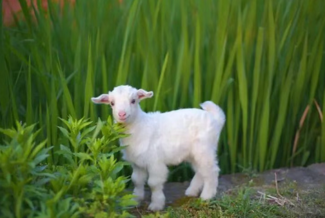 截图20260324090254.png 截图20260324090254.png