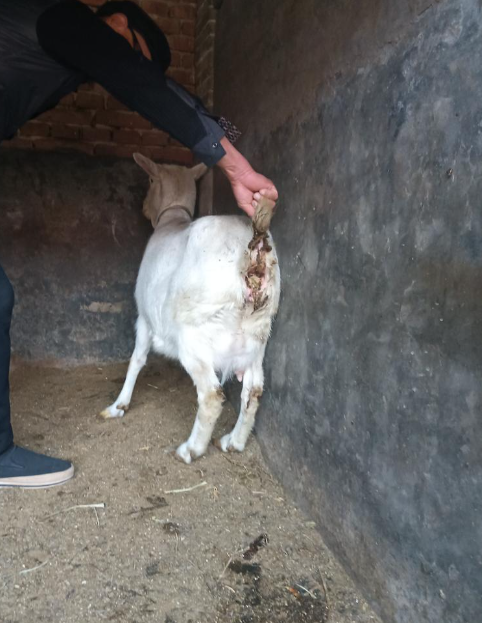 截图20260324091438.png 截图20260324091438.png