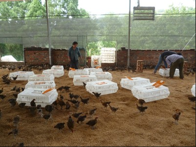 截图20260324095401.png 截图20260324095401.png