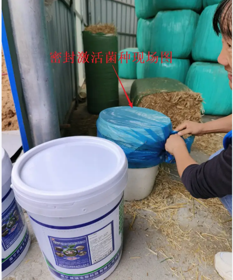 截图20250916094449.png 截图20250916094449.png