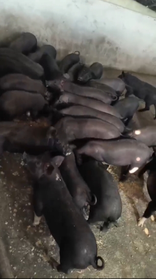 微信截图_20260324095715.jpg 微信截图_20260324095715.jpg