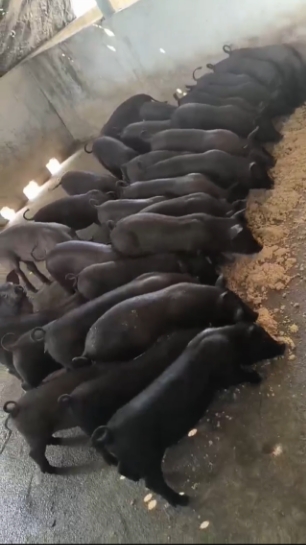 微信截图_20260324095653.jpg 微信截图_20260324095653.jpg